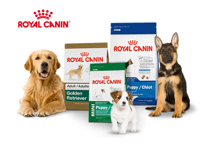 Royal canin hrana za kucne ljubimce pet shop snoopy