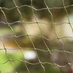 55023 PLA Katzenschutznetz mit Drahtverstaerkung FG DSC7572 5