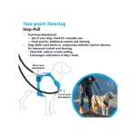 ORMA RO PAS FANBELT EXPLORE L 20 mmSJX06 K ROZA 2