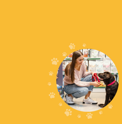 Snoopy pet shop kontakt lokacija