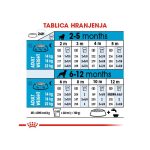 rc shn puppymedium cv eretailkit 5 cro 1