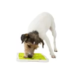 t34952 2 5f98108a0d5b2 570x570r