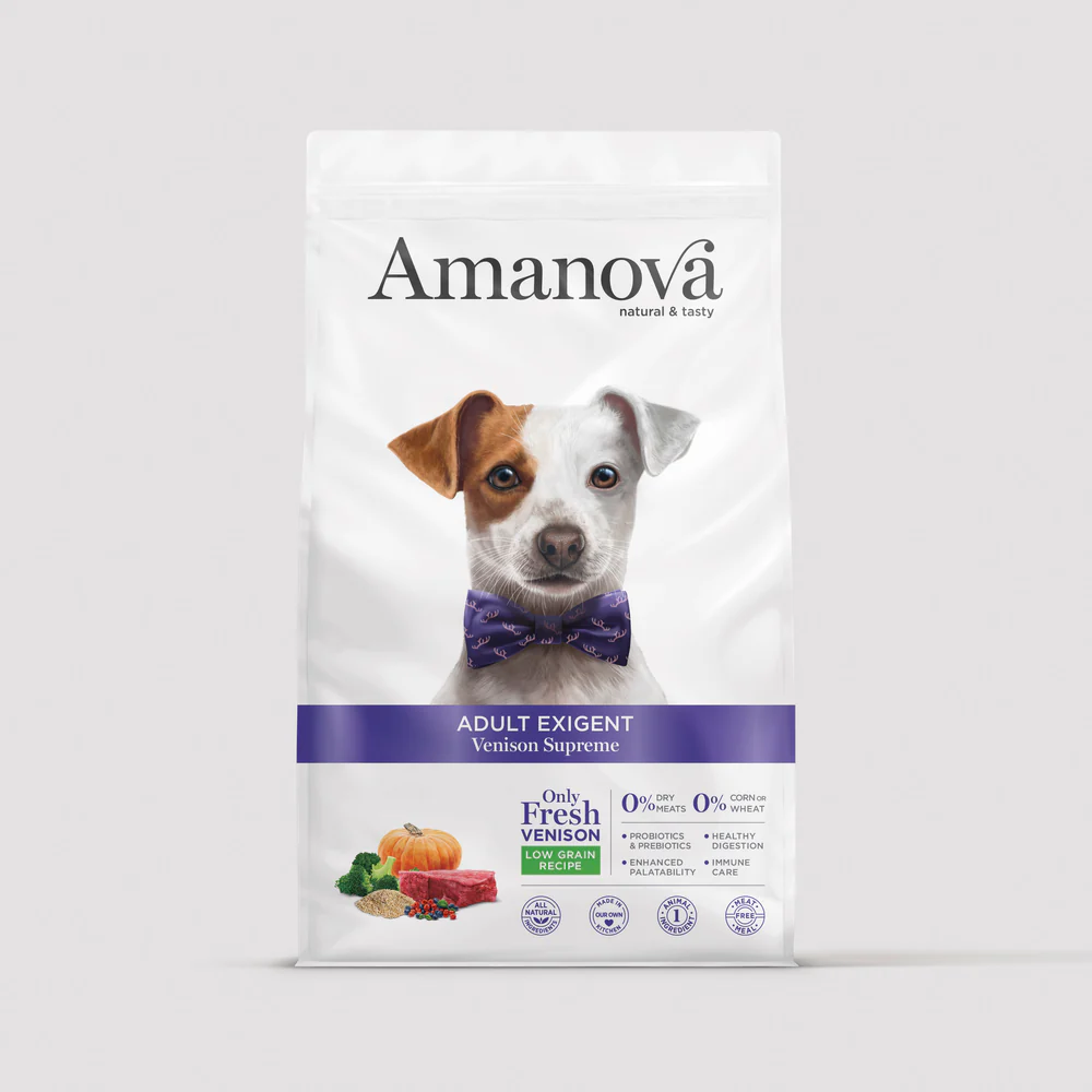 Saco2K AMANOVA DOG FRONT A19